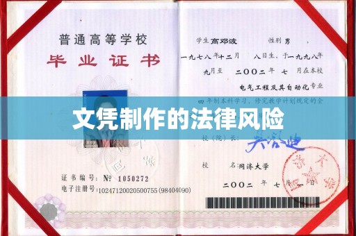 定兴文凭制作的法律风险